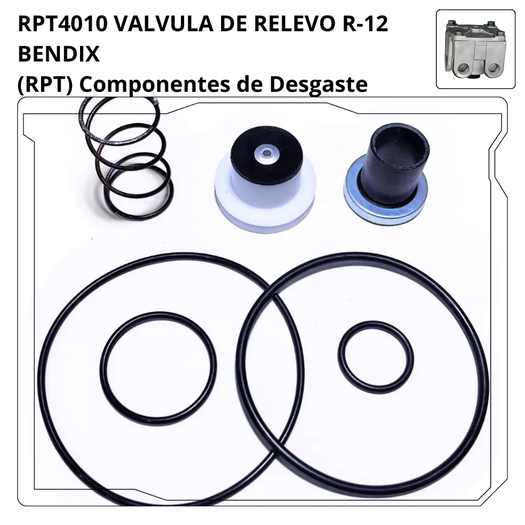 RPT4010.webp