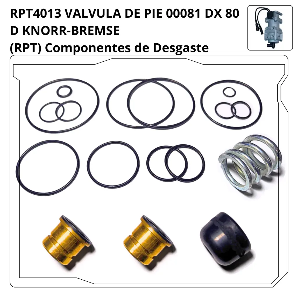 RPT4013.webp