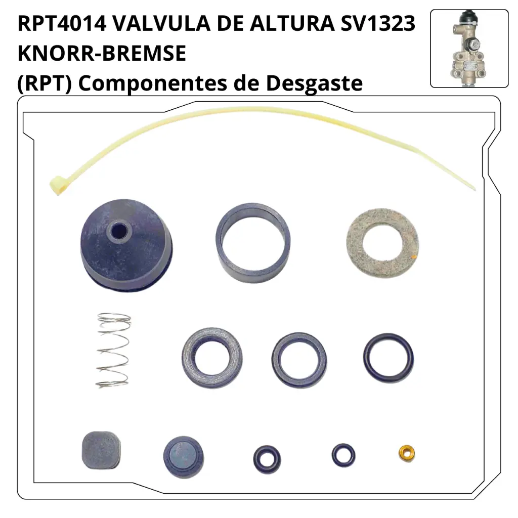 RPT4014.webp