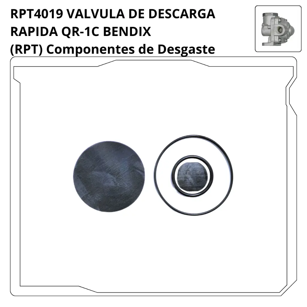 RPT4019.webp