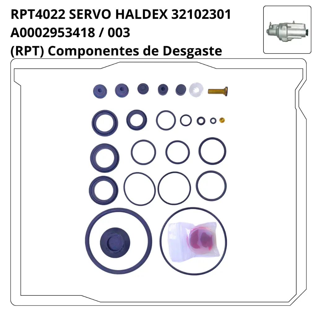 RPT4022.webp