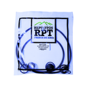 Repuesto RPT P/Secador de Aire Tipo AD-IP BENDIX
