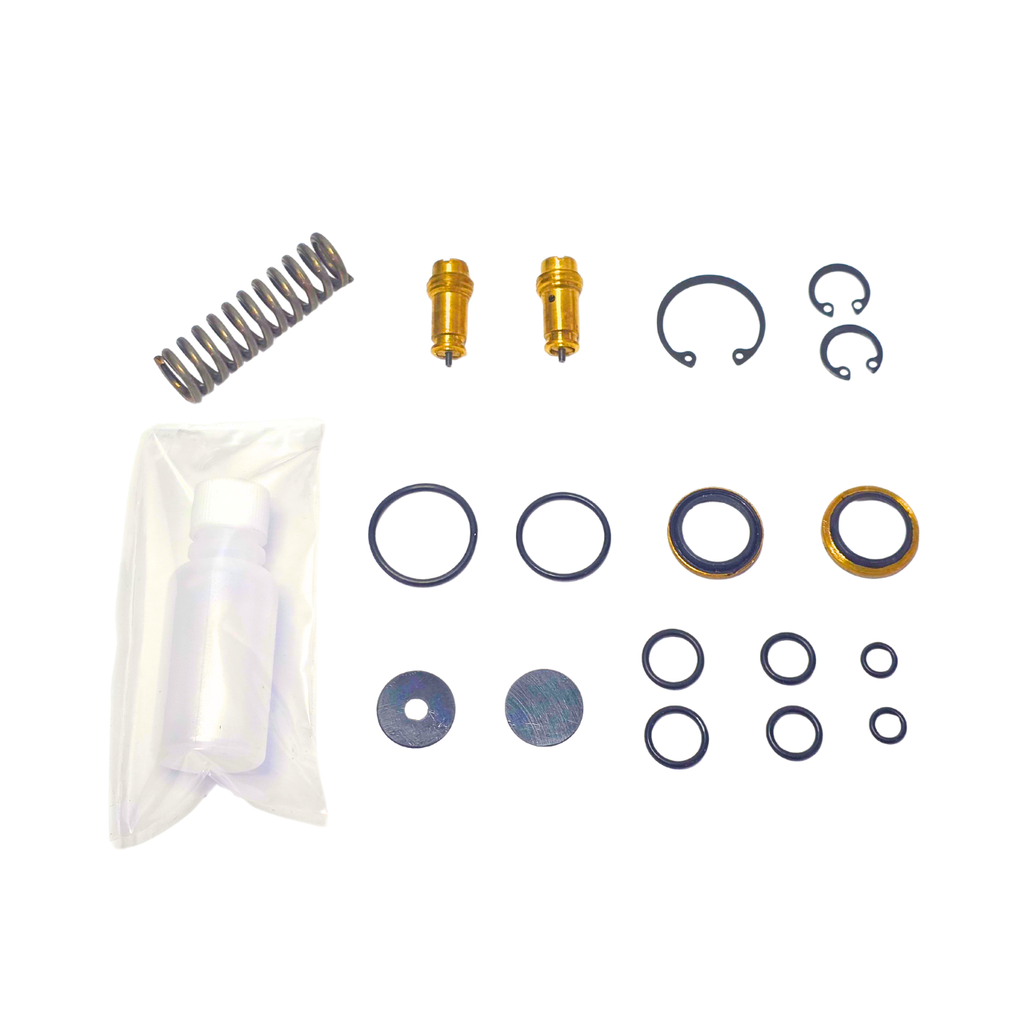 Repuesto RPT para valvula de suspencion tipo Bosch 084 0 500 005 002 mayor