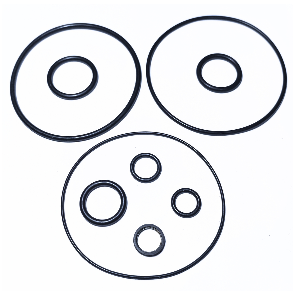 Repuesto RPT para Valvula de Relevo tipo 110380 Sealco