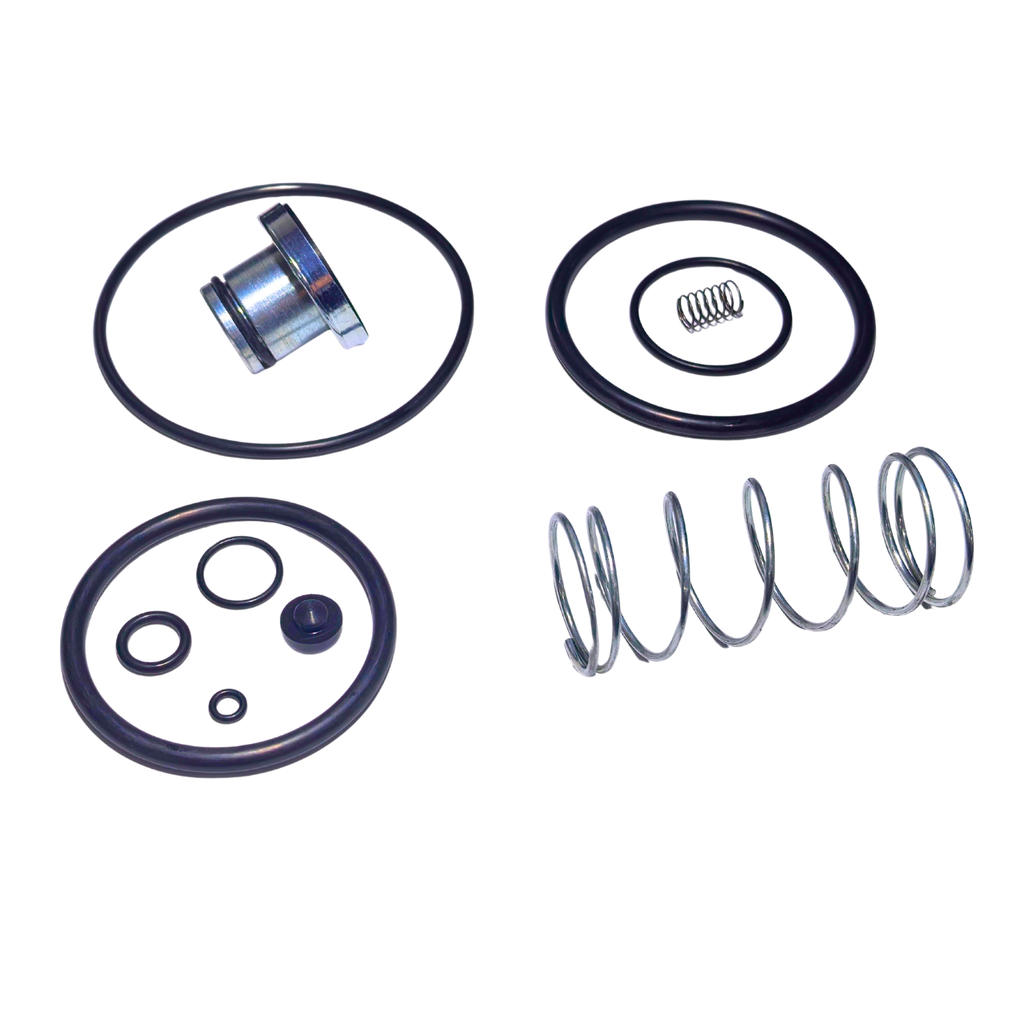 Repuesto RPT para Valvula de Relevo Tipo 110139 SEALCO