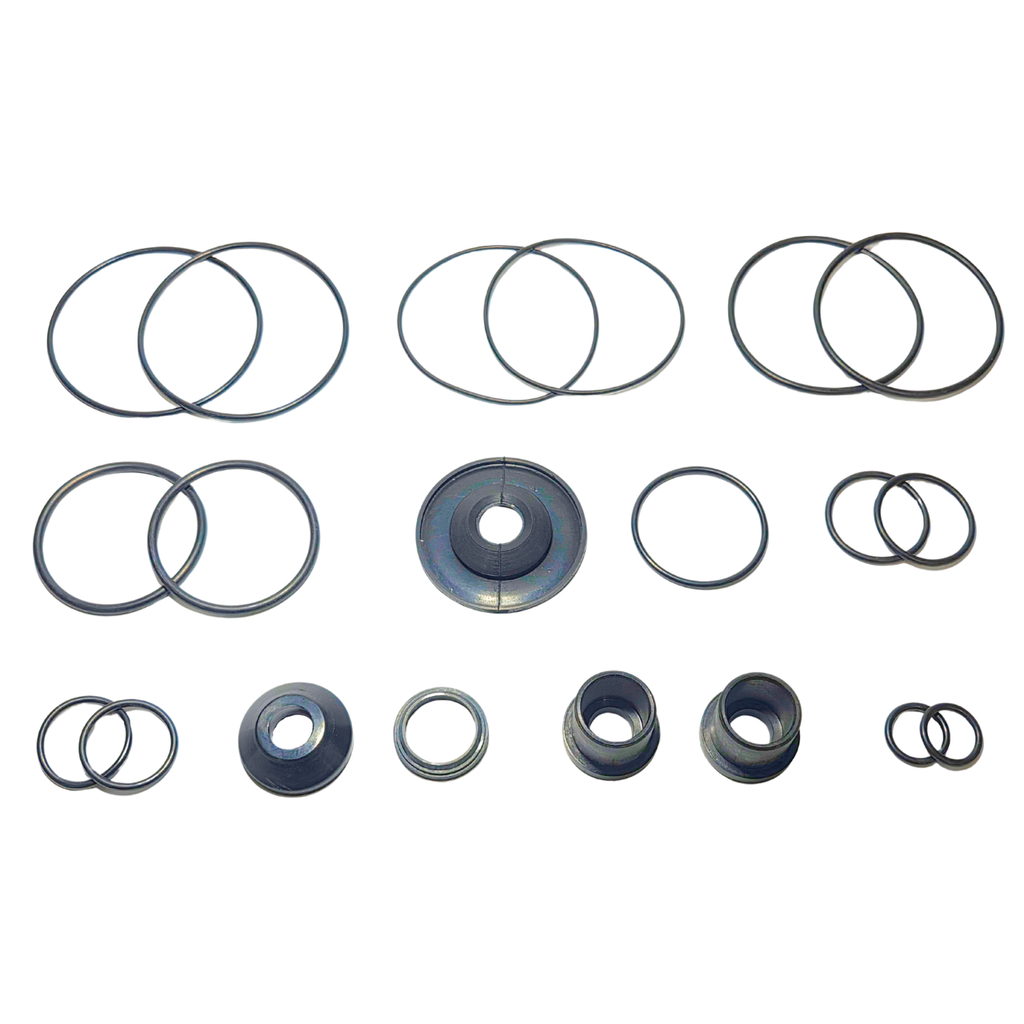 Repuesto RPT para Valvula de Pie tipo Wabco 03725024613186D4D VOLVO 70313310