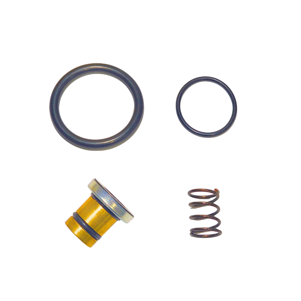 Repuesto RPT para Valvula de Pie tipo 6125 Sealco