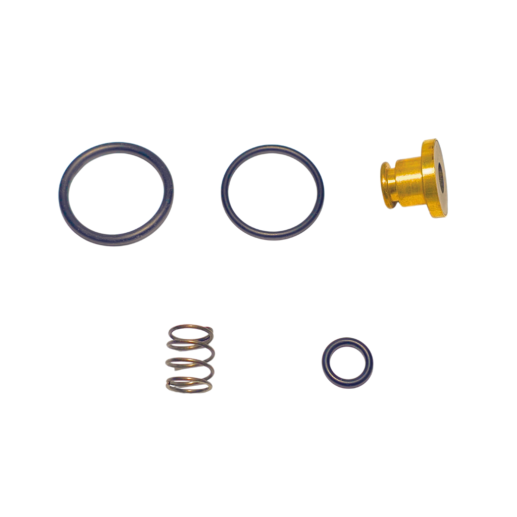 Repuesto RPT para Valvula de palancon Tipo 5900 SEALCO