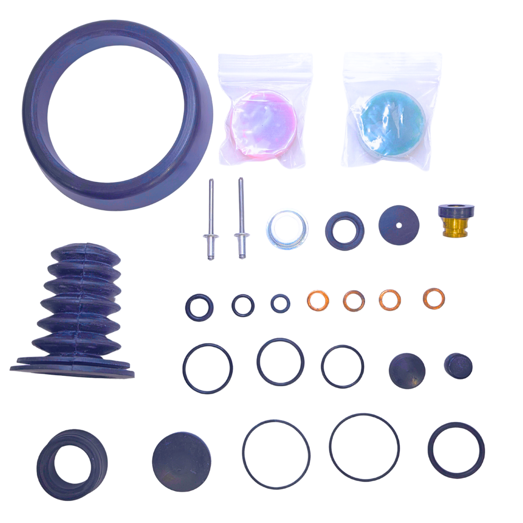 Repuesto RPT para Servo Air Fren 09051164