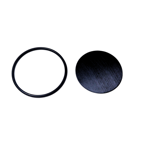 [RPT241] Repuesto RPT para valvula de desarga rapida Tipo QRN BENDIX