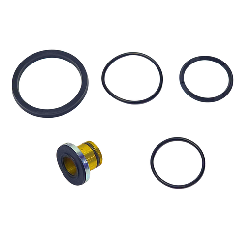 [RPT247] Repuesto RPT para Valvula de Pie Tipo KN22100 MIDLAND