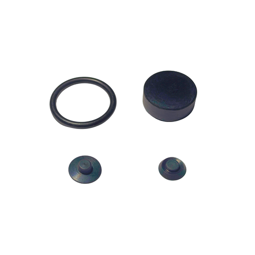 [RPT731] Repuesto RPT P/Valvula limitadora 084 BOSCH 0 481063 041