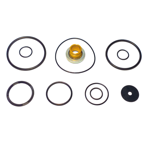 [RPT254] Repuesto RPT Para Valvula de Pie Tipo KN22140 MIDLAND Menor