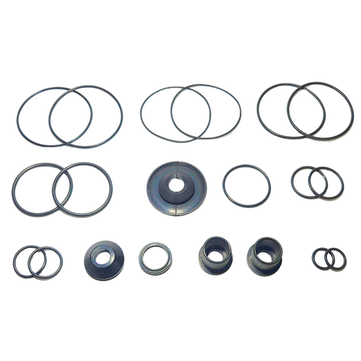 [RPT553] Repuesto RPT para Valvula de Pie tipo Wabco 03725024613186D4D VOLVO 70313310