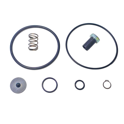 [RPT133] Repuesto RPT para Valvula de Relevo tipo R-6 Bendix