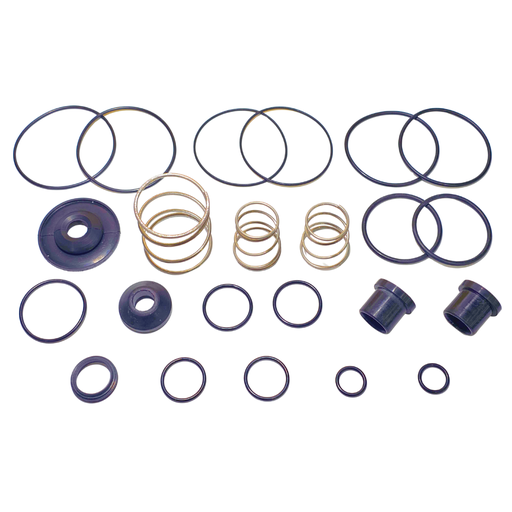 [RPT5011] Repuesto RPT para Valvula de Pie tipo Wabco 037 2502 4613/86D4D VOLVO 7031 3310 con resortes