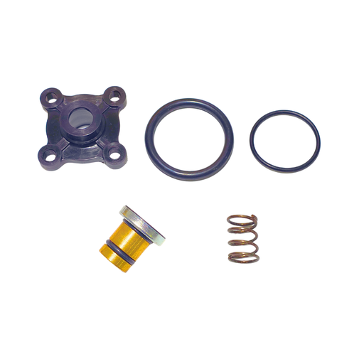 [RPT166] Repuesto RPT para Valvula de Pie tipo 6125 Sealco con Tapa